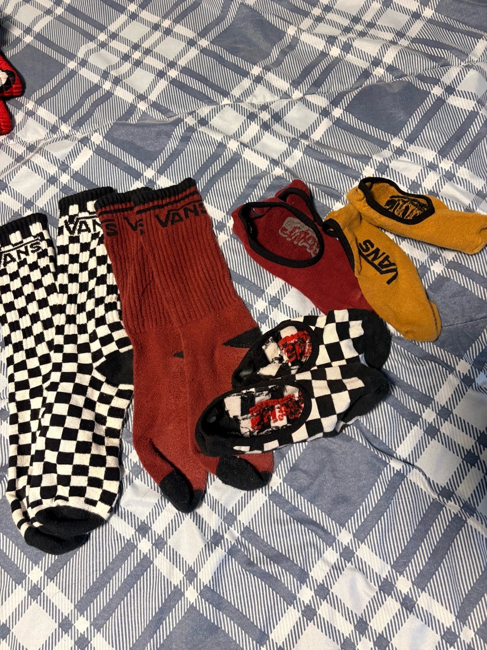 Vans Mixed Crew & No-Show Socks in Black, White, Red & Mustard